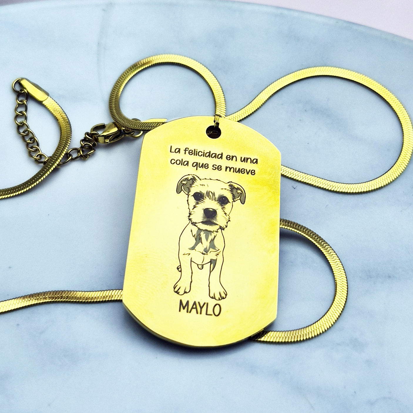 COLLAR GRABADO MASCOTA